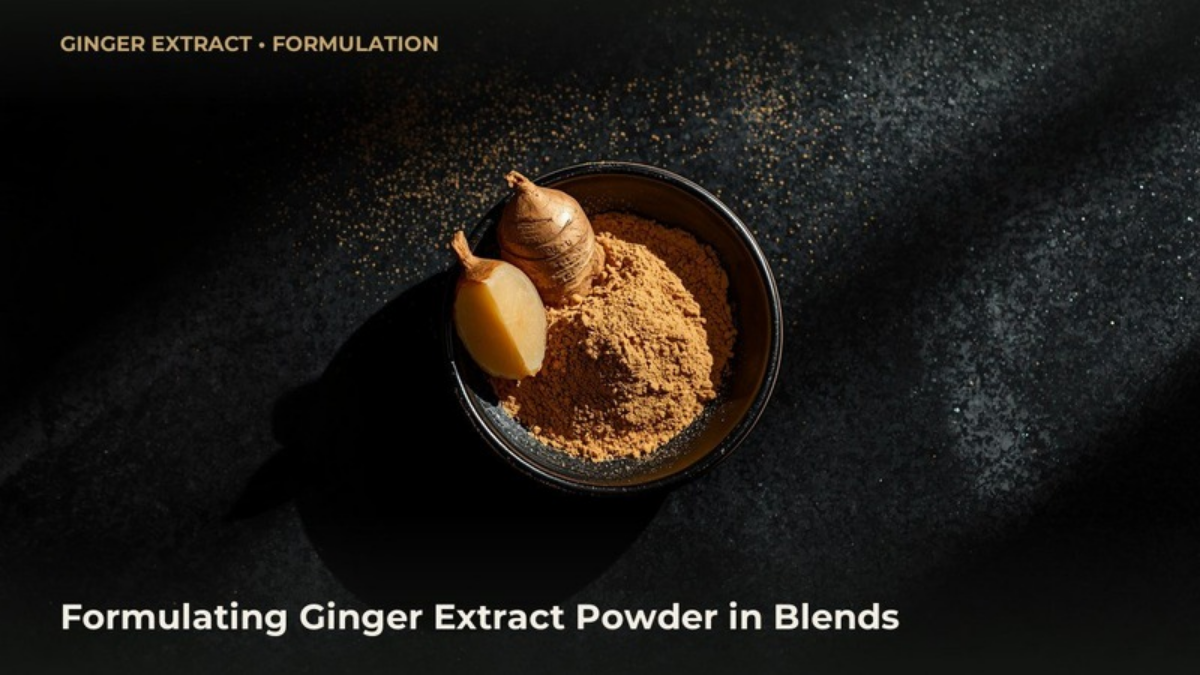Ginger (Zingiber officinale) rhizome standardized extract powder