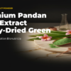 Pandan leaf extract powder — spray-dried green powder on marble with fresh pandan leaves
