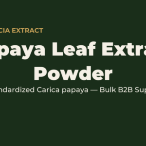 Papaya leaf extract powder bulk ingredient for B2B food and supplement manufacturers