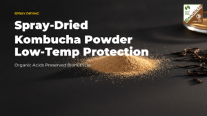 Spray-dried kombucha powder — fermented black tea ingredient for B2B formulators