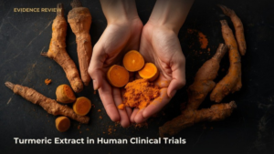 Sliced turmeric rhizome and Curcuma longa extract powder