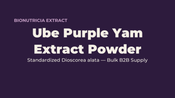 Ube purple yam extract powder bulk ingredient for B2B food manufacturers